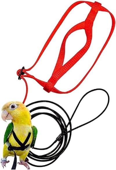 Verstelbaar vogeltuigje en riem - Met riem - Trainingsbenodigdheden - Voor geelnek amazone papegaaien, roze kaketoes, kleine tot middelgrote papegaaien - Geschikt voor vogels met een borstomtrek tot 62 cm/24,43 inch - Rood - Maat M
