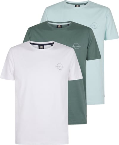 Petrol Industries - Heren 3-pack jersey T-shirts Salsa - Multicolor - Maat M