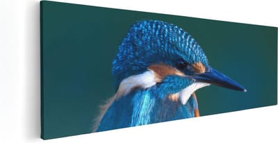 Artaza Canvas Schilderij Vogel Op Tak - 60x20 cm - Wanddecoratie Woonkamer - Muurdecoratie Dieren - Kamer Accessoires