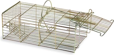 Ratten inloopval