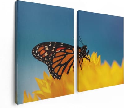 Artaza Canvas Schilderij Tweeluik Oranje Vlinder Bij Een Zonnebloem - 120x80 - Foto Op Canvas - Canvas Print