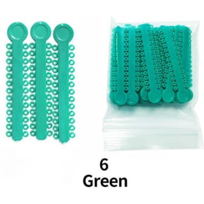 1040 Stuks Kleurrijke Orthodontische Elastische Bandjes Latex Ligatuur Ties Voor Tandheelkundige Beugels 40 Gemengde Kleuren groen