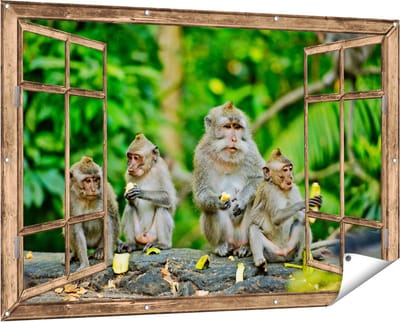 Gards Tuinposter Doorkijk Groep Apen Eten Bananen in het Bos - 150x100 cm - Tuindoek - Tuindecoratie - Wanddecoratie buiten - Tuinschilderij