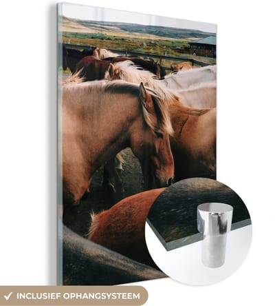 MuchoWow® Glasschilderij 30x40 cm - Schilderij acrylglas - Paarden - Dieren - Wild - Foto op glas - Schilderijen