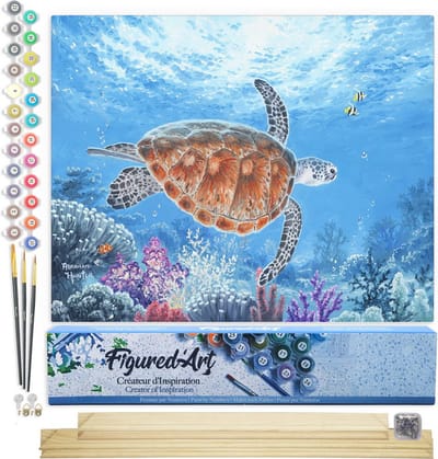 Figured'Art Schilderen op Nummer Volwassenen canvas Schildpad - Handwerk acrylverf Kit DIY Compleet - 40x50cm met DIY houten lijst