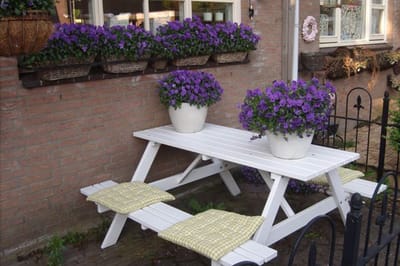 Rockwood® Picknicktafel Eik - Zwaar Kunststof - Sand Beige (184kg) 2.40m