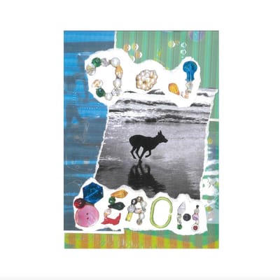 Merryn Jeann - Dog Beach (LP)
