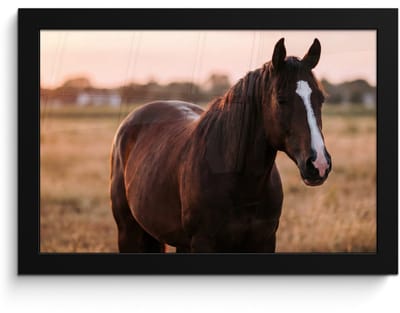 Poster in lijst - Fotolijst 30x20 cm - Posters - Paard - Zonsondergang - Bruin - Posterlijst zwart - Decoratie - Wanddecoratie woonkamer - Muurdecoratie slaapkamer