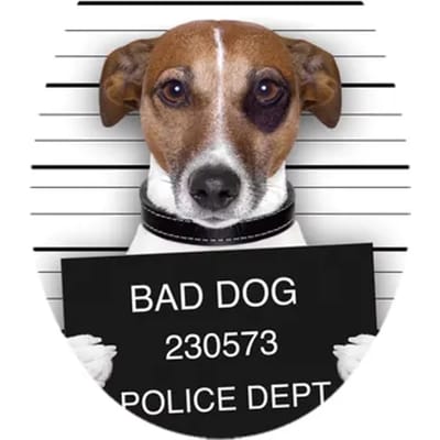 Aquavive Wc-bril Bad Dog - Duroplast - Softclose - Verstelbaar - Met Hondenprint