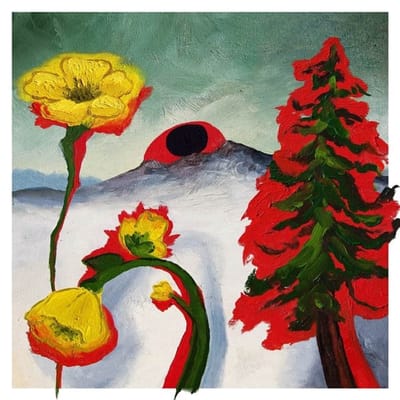Woods - Strange To Explain (CD)