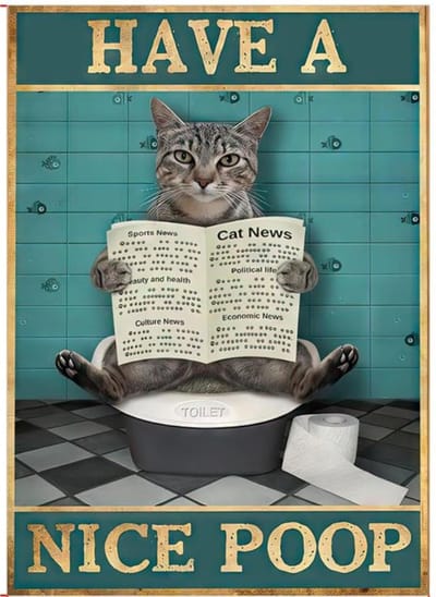 Livano Have A Nice Poop - Are You Pooping Cat - Are You Pooping - Your Butt Napkins My Lord - Grappige Poster - 21x30cm