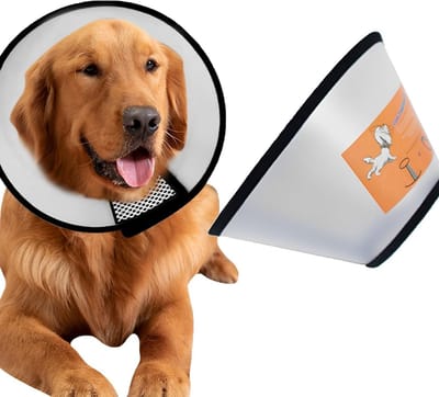 Verstelbare Hondenbeschermhalsband tegen Bijten en Likken, Lichtgewicht Elizabethaanse Cone voor Grote Honden (Halsomtrek: 35-40 cm)