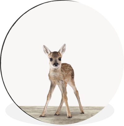 WallCircle - Wandcirkel - Muurcirkel - Hert - Baby hert - Dieren - Meisjes - Jongens - Kinderen - Aluminium - Dibond - 30x30 cm - Binnen en Buiten