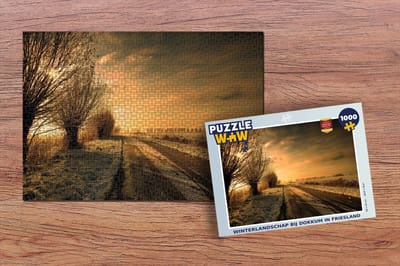 Puzzel Dokkum - Friesland - Winter - Legpuzzel - Puzzel 1000 stukjes volwassenen