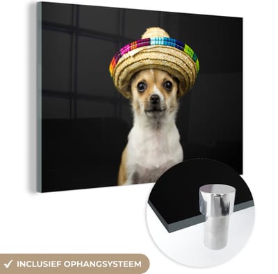MuchoWow® Glasschilderij 150x100 cm - Schilderij acrylglas - Hond - Sombrero - Zwart - Foto op glas - Schilderijen