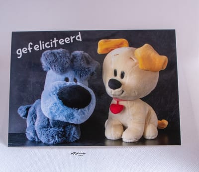 Kleintje Fotografie woezel en pip verjaardag Wenskaart