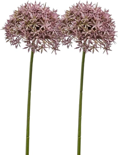 Emerald Allium/Sierui kunstbloem - 2x - losse steel - lila - 62 cm - Natuurlijke uitstraling