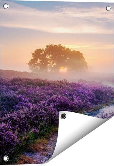 Gards Tuinposter Pad in de Weide van de Veluwe - 40x50 cm - Tuindoek - Tuindecoratie - Wanddecoratie buiten - Tuinschilderij