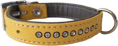 JACK AND VANILLA Nappa Halsband / Hondenhalsband - Nappa Leder met Strass steentjes - Geel / Antraciet - Breedte 14 mm - Nekomtrek 14 - 17,5 cm (GELIEVE ALVORENS BESTELLEN OPMETEN)