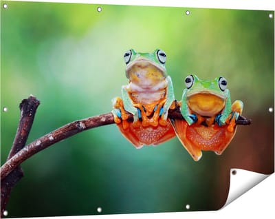Gards Tuinposter Twee Boomkikkers op een Tak - 120x80 cm - Tuindoek - Tuindecoratie - Wanddecoratie buiten - Tuinschilderij