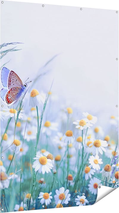 Gards Tuinposter Witte Kamille Bloemen met een Vlinder - 120x180 cm - Tuindoek - Tuindecoratie - Wanddecoratie buiten - Tuinschilderij