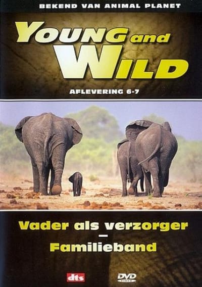Special Interest - Young And Wild