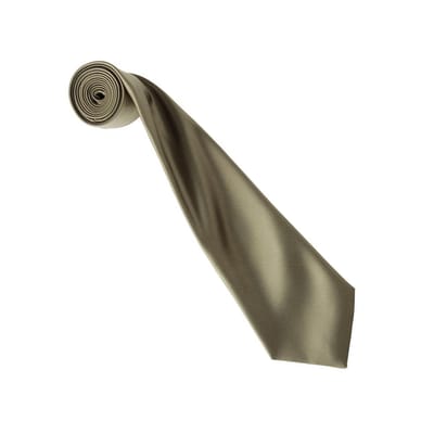 Premier Kleurencollectie Satijnen Stropdas (Salie)