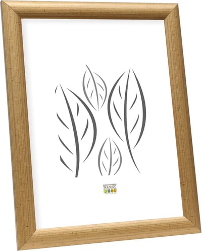 Deknudt Frames Fotolijst - goud - S40CA2 - fotomaat: 10x15 cm