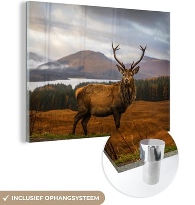MuchoWow® Glasschilderij 160x120 cm - Schilderij acrylglas - Hert - Berg - Water - Landschap - Dieren - Bomen - Foto op glas - Schilderijen