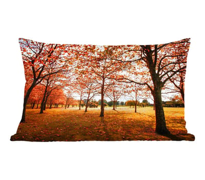 Sierkussens - Kussentjes Woonkamer - 50x30 cm - Herfst - Herfstbladeren - Natuur
