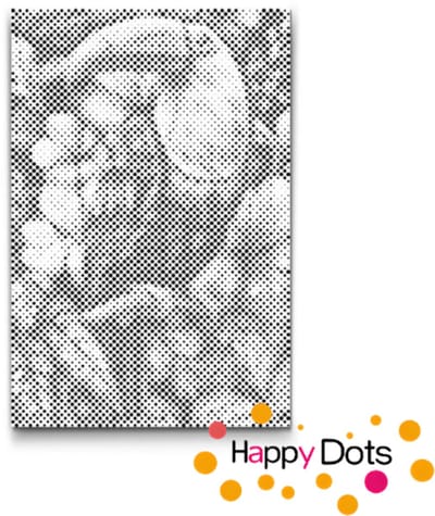 HappyDots DOT Painting Vogels 04 - 40x60cm