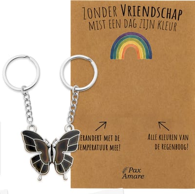 BFF Sleutelhanger voor 2 'Zonder vriendschap mist een dag zijn kleur' - Vlinder VERANDERT VAN KLEUR - Sleutelhanger set op Cadeau Kaartje - Zilverkleurig - Vriendschap Symbool - Pax Amare