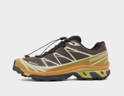 Salomon XT-6 GORE-TEX, bruin