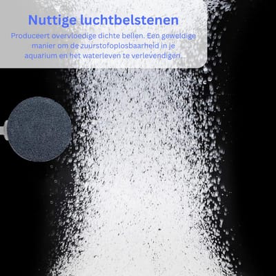 DailySupplies® Luchtpomp Vijver - Zuurstofpomp - Luchtsteen - Luchtpomp Buiten