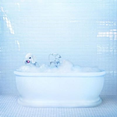 Frankie Cosmos - Vessel (LP) (Coloured Vinyl)