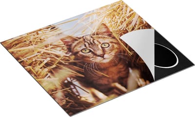 Chefcare Inductie Beschermer Kat tussen de Stro Balen - 60x50 cm - Afdekplaat Inductie - Kookplaat Beschermer - Inductie Mat
