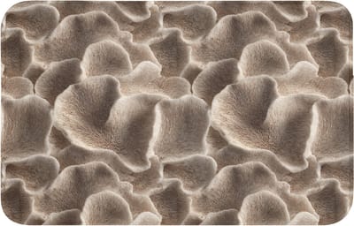 WC mat 80x50 cm - Antislip - Waaiervorm - Beige - Vezel textuur - Toiletmat - Vloermat - Douchemat - Toilet tapijt - Toiletmatten