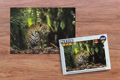 Puzzel Jaguar - Jungle - Natuur - Legpuzzel - Puzzel 500 stukjes