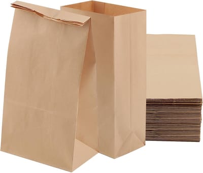 100 Bruine Kraft Papieren Zakken voor Lunch, Boodschappen en Cadeaus (15,5x10x30 cm)