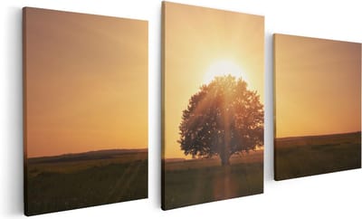 Artaza Canvas Schilderij Drieluik Zonsondergang Achter Een Grote Boom - 120x60 - Foto Op Canvas - Canvas Print