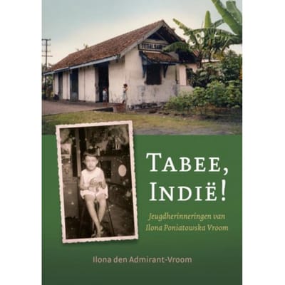 Tabee, Indië! - Ilona Den Admirant-Vroom