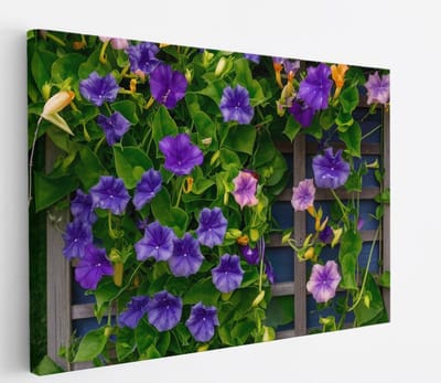 Saammp Canvas Schilderij - Klimop en Bloemen - Natuur - Abstract - 45x30 - Foto op canvas - Wanddecoratie - Muurdecoratie Woonkamer - Kantoor Decoratie