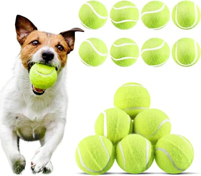 Hondentennisballen - Huisdier ballen - Spelen en trainen - Veilig rubber vilt - 20 stuks 5 cm - Geel