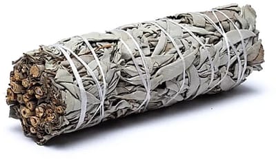 Witte Salie Smudge Stick - 1 Stuk - 10 cm - White Sage - Huisreiniging - Yoga - Meditatie