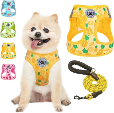 Hondentuig met Riem - Honden Harnas - Veilig Wandelen - Reflecterend Ontwerp - XS (33-37cm Borst) - Ananas