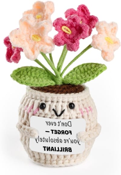 Handgemaakte Gehaakte Bloemen - Vergeet-mij-niet Plant - Emotionele Steun, Decoratie voor Kantoor en Cadeau voor Vrienden en Familie - Witte Pot
