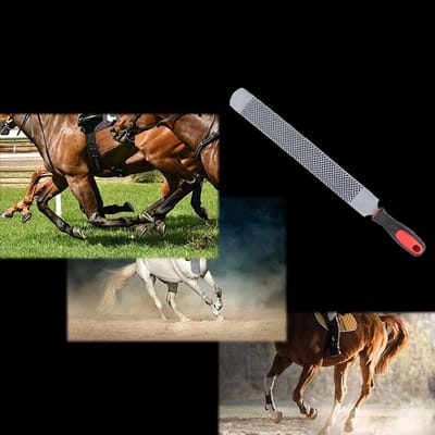 Professionele Hoefverzorging met Dubbelzijdige Hoefrasp en Hoefvijl voor Paarden, Ideaal voor Farriers en Dierenartsen