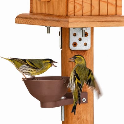Vogel Drinkbak voor Buiten – Luxe Vogelbad met Houtlook – Waterbak voor Tuinvogels en Vogelhuis – Geschikt voor 60 mm Voederpaal – 150 ml – Roasted Chestnut