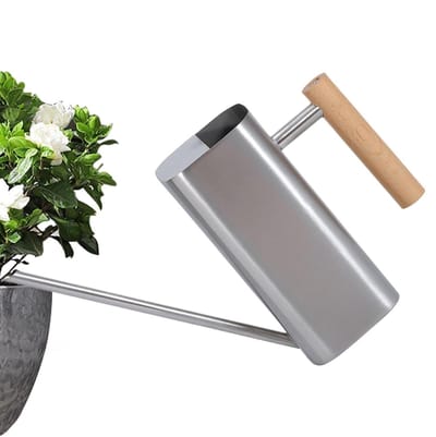 Gieter Lange Tuit - Planten Gieter Roestvrij Staal - Planten Water Geven - Roestvrij Staal Constructie - 800ml - Zilver