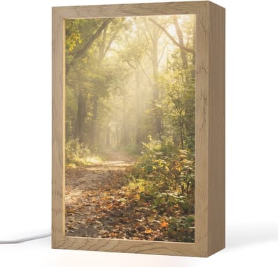 Tafellamp 20x30 cm - LED lamp - Zonlicht - Bospad - Bomen - Decoratieve tafellampen - Dimbaar - Tafellampje slaapkamer - Woonkamer binnen